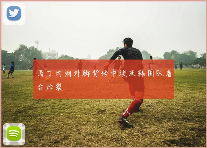 马丁内利外脚背传中埃及韩国队看台炸裂