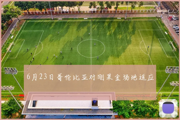 6月23日哥伦比亚对刚果金场地适应