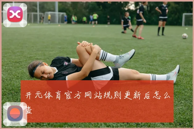 开元体育官方网站规则更新后怎么查