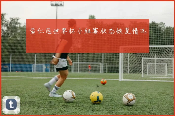 黄仁范世界杯小组赛状态恢复情况