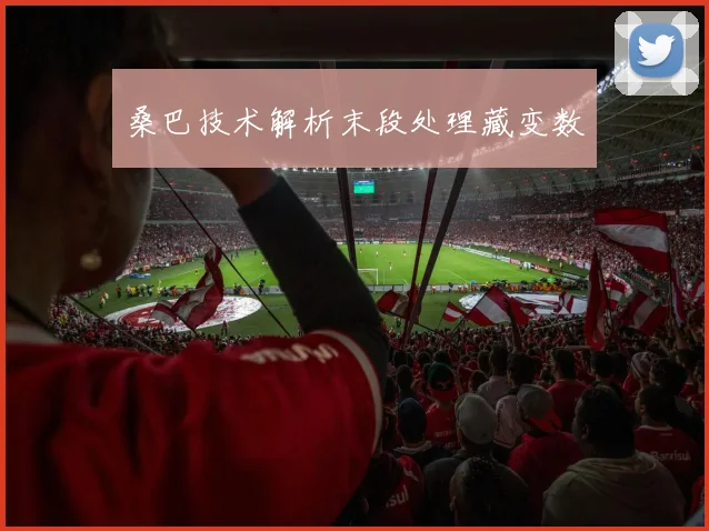 桑巴技术解析末段处理藏变数